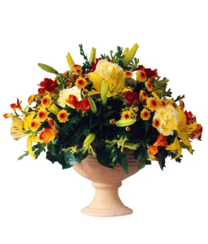 Asiatic Lilies ,Chrysanthemum & Carnations Arranged in a vase