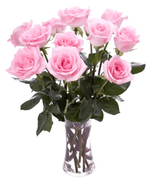 Flower Arrangement of Pink Roses in Glass Vase