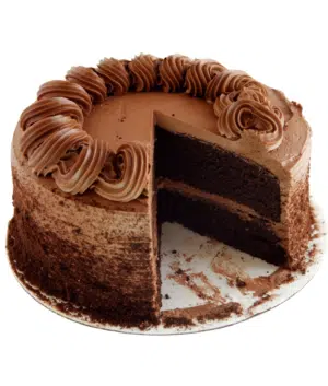 Two Layer Chocolate Cake
