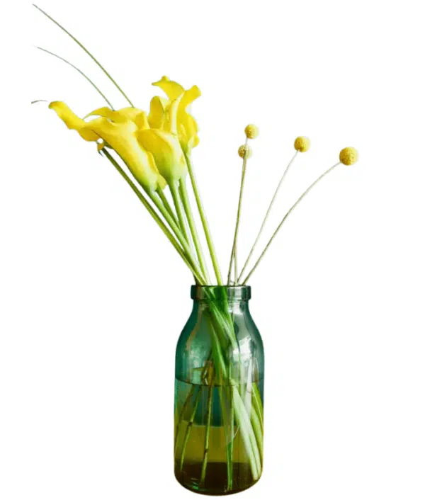 Yellow Calla Flowers in Glass Vase