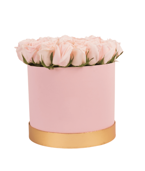 Baby Pink Roses in Round Box