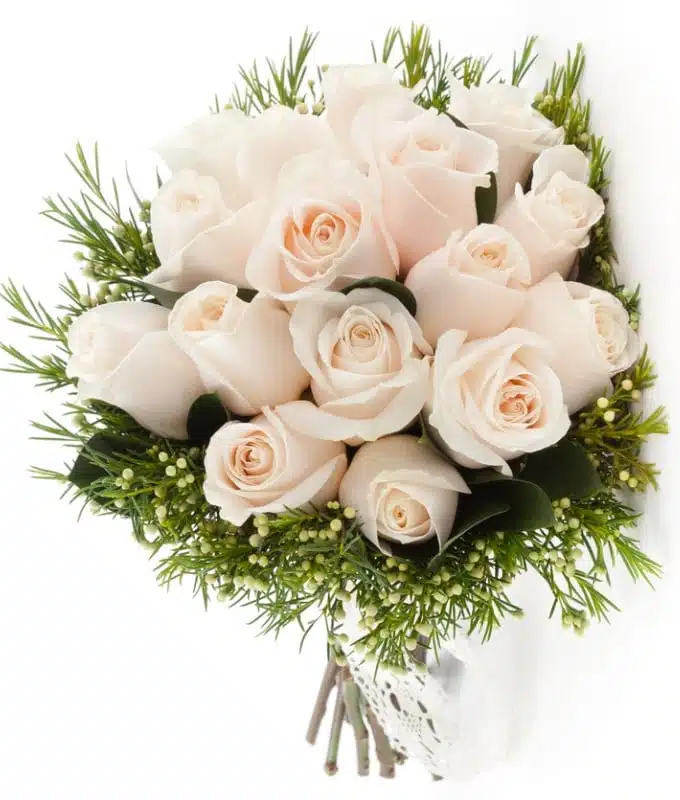 Bridal roses