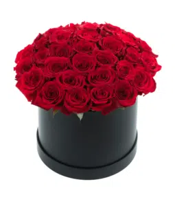 Vibrant Red Roses in Round Box