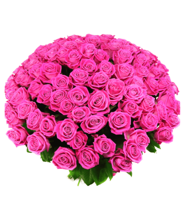 Vibrant Pink Roses Hand Bunch