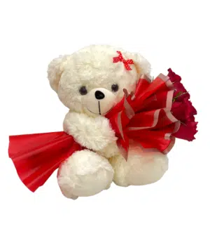teddy,red roses