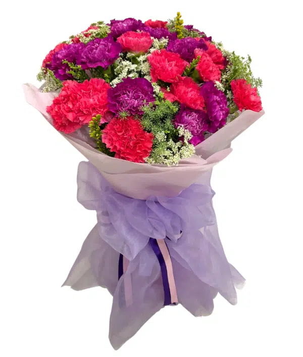 pink carnation,purple carnation 