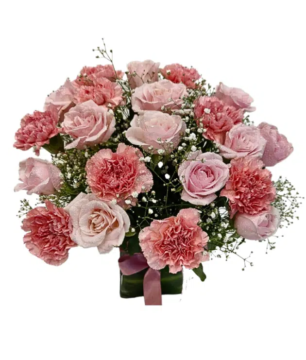 pink carnations,sweet pink roses