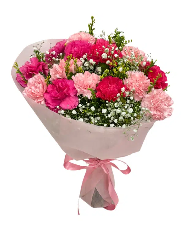 Dark pink carnations,light pink carnations