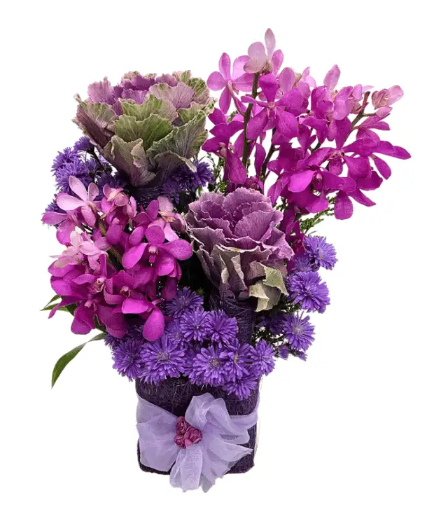Purple Orchids,Purple Kale flower